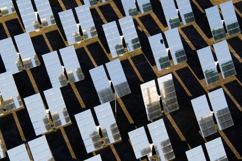 Rows of solar panels