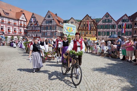 Local costume group