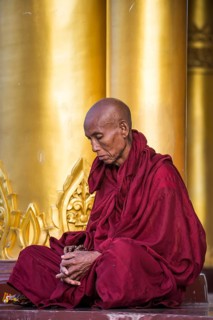 Buddhist monk in prayer