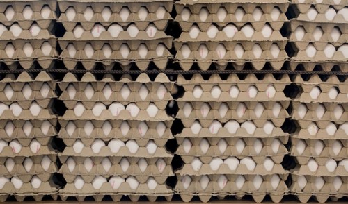 Eggs stacked in cardboard boxes