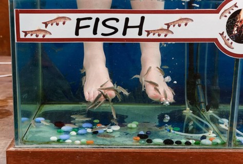 Garra Rufa fish therapy