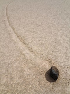 Track created by one of the mysterious moving rocks at the 'Racetrack'