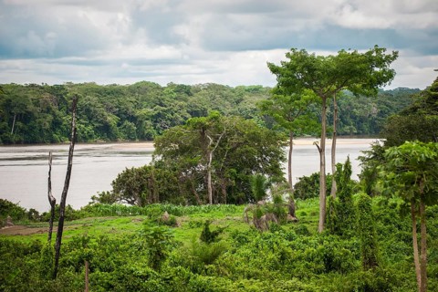 The river Sangha