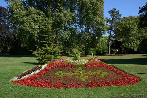 Flower arrangement in the Park of Versailles