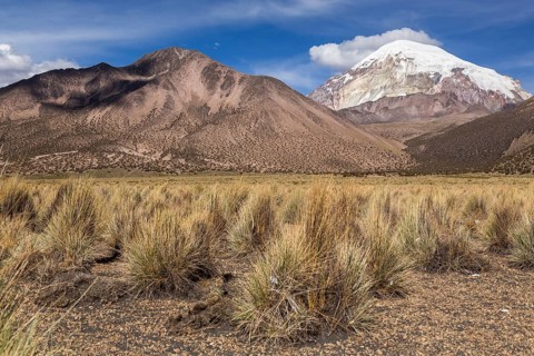 Sajama Volcano
