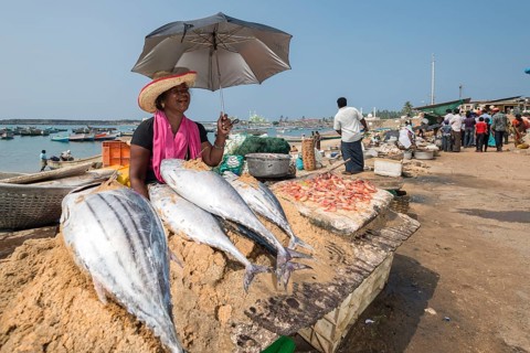 Woman selling fish