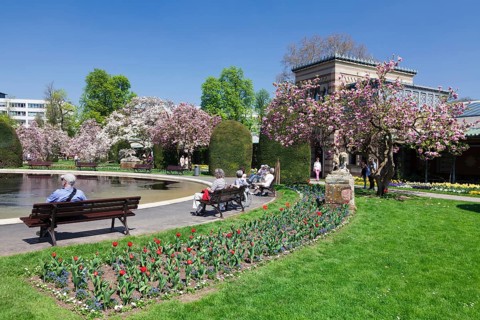 Magnolia blossom in the Moorish Garden