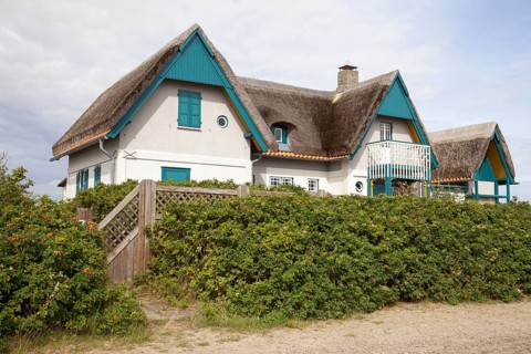 House with thatched roof