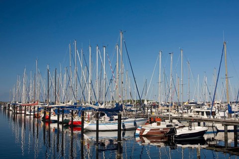 Sailboats in the marina