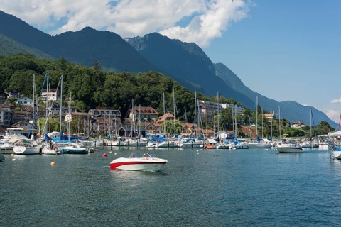 Boats in the marina