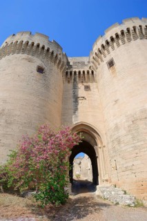 Gate of Fort Saint-Andre