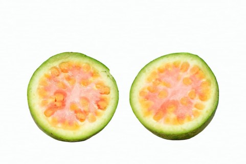 Apple Guava or Common Guava (Psidium guajava)