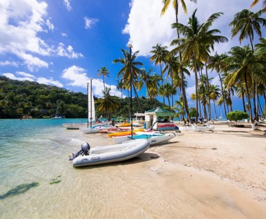 Palms on the sandy beach in Marigot Bay