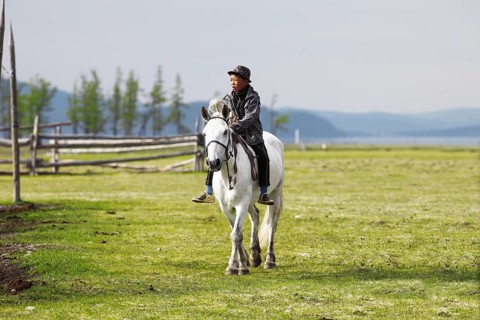 Boy riding a Mongolian horse