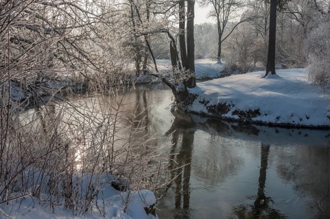 Winter on the Ilm River