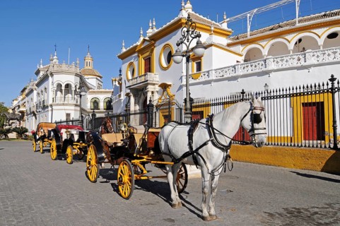 Horse-drawn carriages