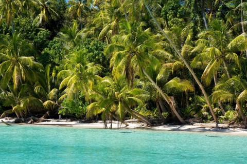 Lagoon with a sandy beach and palm trees