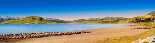 Shepherds and sheep on the shore of Lake Van