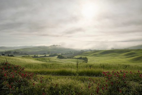 Fog in the valleys of the Crete Senesi