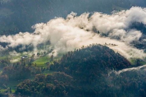 Meadows and a forest with clouds