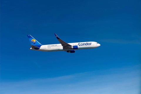 Condor