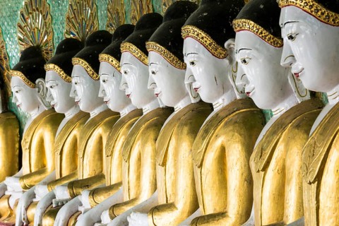 Many seated Buddha sculptures