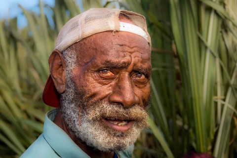 Farm worker on a field of sugar cane