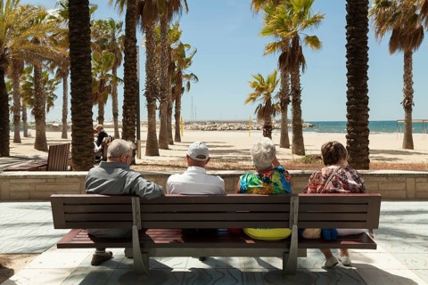 Back view of tourists resting on bench looking at palm tree covered beach