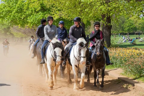 Group of horse riders
