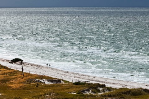 View on the western beach of Darsser Ort