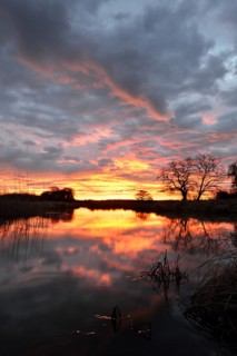Sunrise over the Leiner See lake in the Middle Elbe Biosphere Reserve