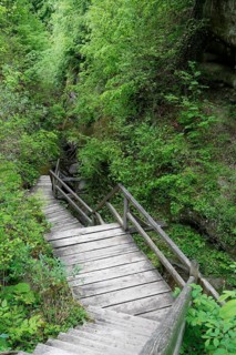 Wooden staircase