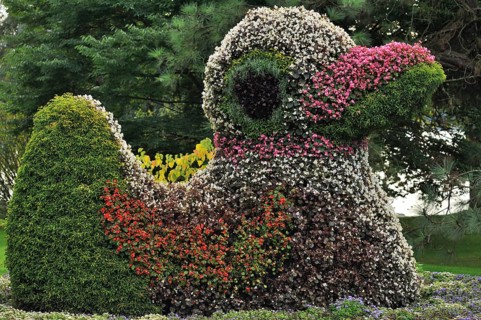 Duck figure from different flowers