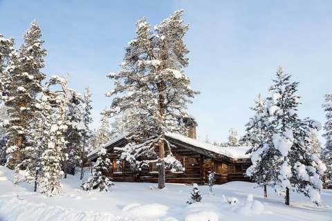 Cottage in the snowy forest