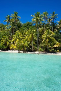 Lagoon with a sandy beach and palm trees