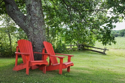 Two red wooden Adirondack chairs under a tree in a residential backyard