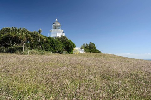 Meadow in front of Katiki Point Lighthouse