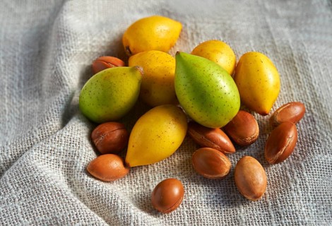 Fresh Argan nuts (Argania spinosa)