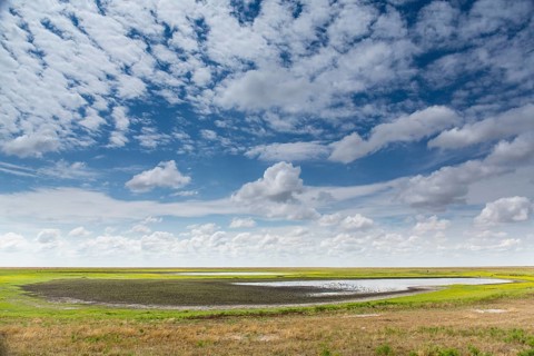Vast landscape