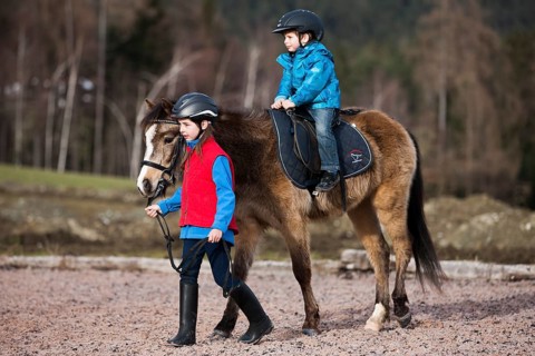 Girl leading a pony with a young child riding it