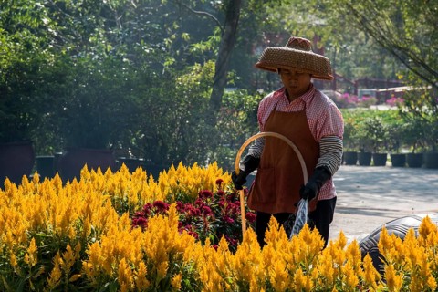 Woman wearing a straw hat