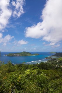 View towards Therese Island