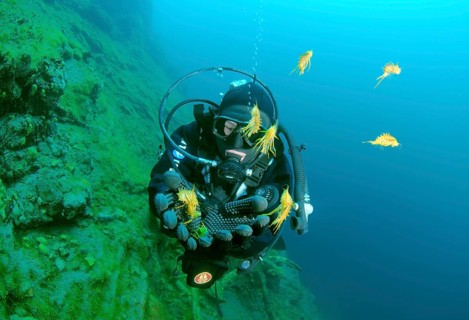 Scuba diver releasing Amphipods (Acanthogammarus maculosus