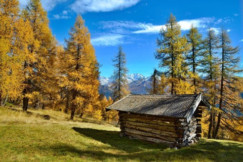Hut
