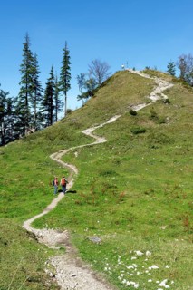 Trail to the peak of Spitzen Stein on the Brundling Alm