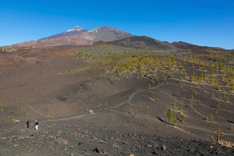View of Mount Teide