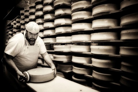 Cheese maker brushing a cheese wheel