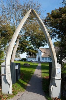 Jawbones of a whale