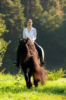 Horsewoman riding a black Friesian horse with a long crest
