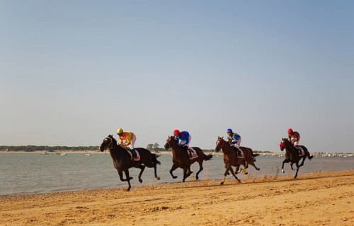 Horse race at the beach of Sanlucar de Barrameda at the Guadalquivir river mouth